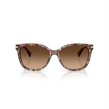 Coach 0HC8132-L109