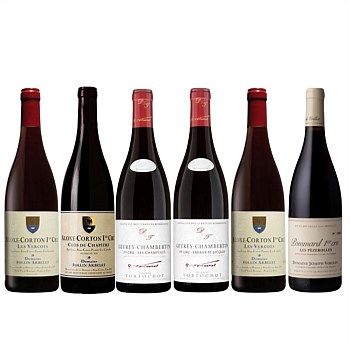 Burgundy 1er Cru Mixed Case