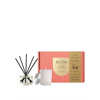 The Mini Duo Guava & Lychee Sorbet