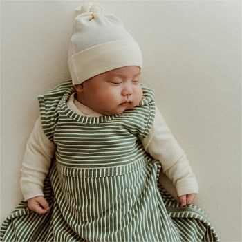 All Seasons Go Go Bag - Olive Stripe