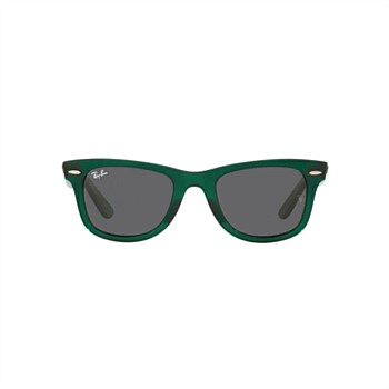 Wayfarer Sunglasses