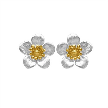 Manuka Flower Studs With Gold Plate